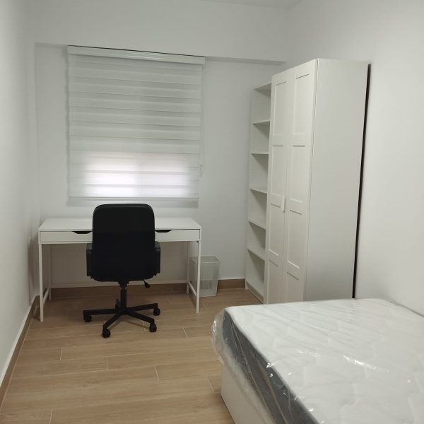 WhatsApp Image 2026-03-01 at 19.33.392